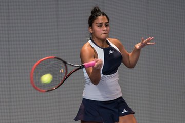 Bild 329 - RL Frauen THC von Horn und Hamm - DTV Hannover : Ergebnis: 6:0